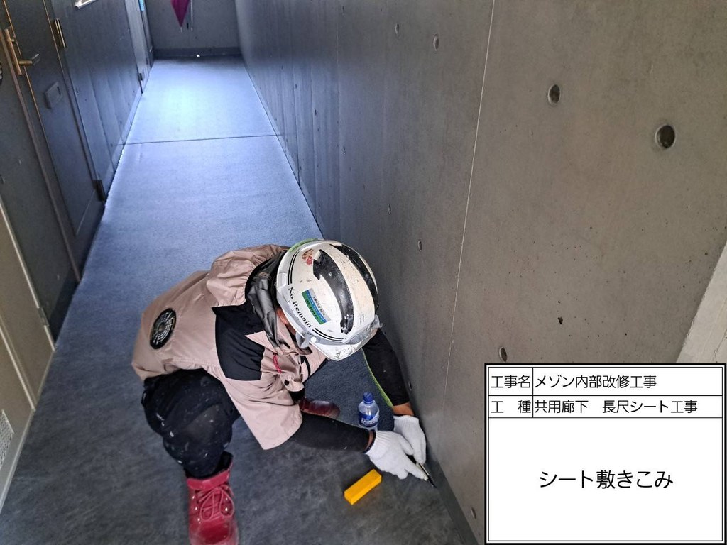 練馬区 メゾンN 内部改修工事 シート敷き込み